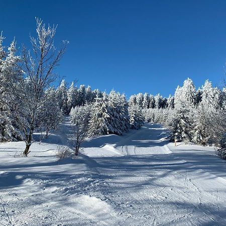 Aktiv-Ferienwohnung "Snow & Bike"- Zentral Zwischen Winterberg Und Willingen 外观 照片
