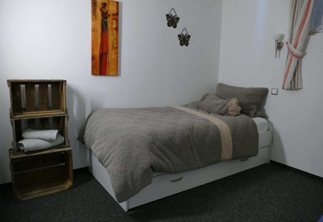 Aktiv-Ferienwohnung "Snow & Bike"- Zentral Zwischen Winterberg Und Willingen 外观 照片