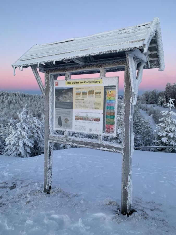 Aktiv-Ferienwohnung "Snow & Bike"- Zentral Zwischen Winterberg Und Willingen 外观 照片