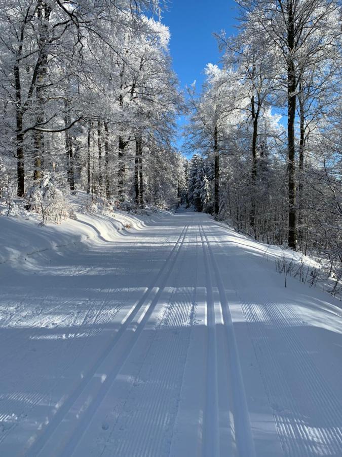 Aktiv-Ferienwohnung "Snow & Bike"- Zentral Zwischen Winterberg Und Willingen 外观 照片